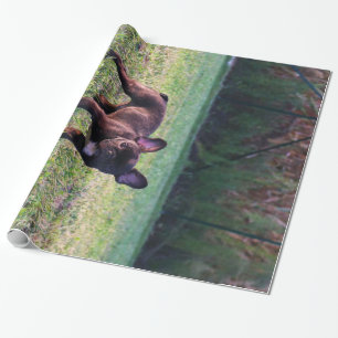 Bulldog Welpe im Gras Foto Niedlicher Bulldog Love Geschenkpapier