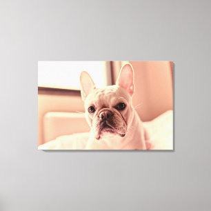 Bulldog Welpe Leinwanddruck