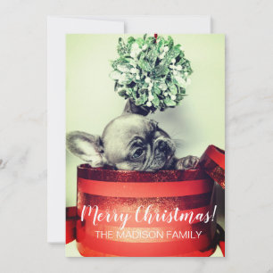 Bulldog-Welpe mit Mistletoe in Geschenkboxen Feiertagskarte