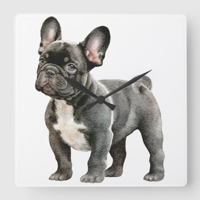 Bulldog Welpe Quadratische Wanduhr (Vorderseite)