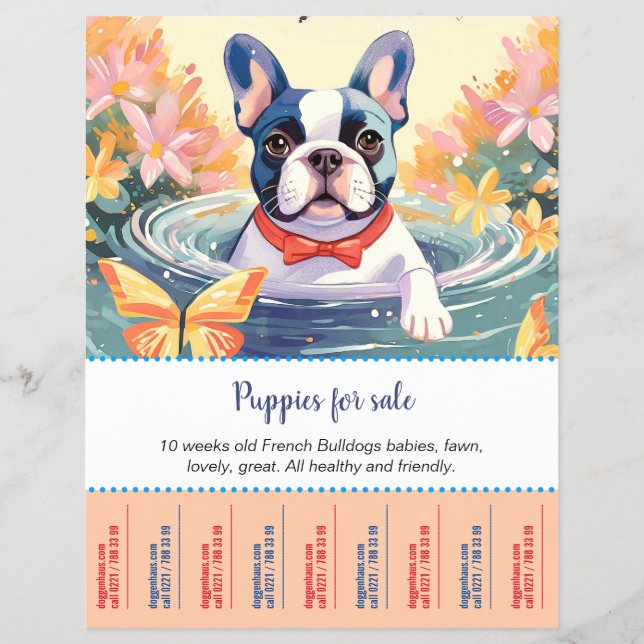 Bulldog Welpen Flyer (Vorne)