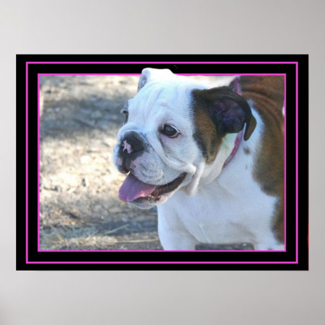 Bulldog-Welpenposter Poster (Vorne)