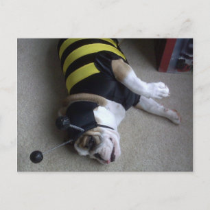 Bulldogbiene Postkarte