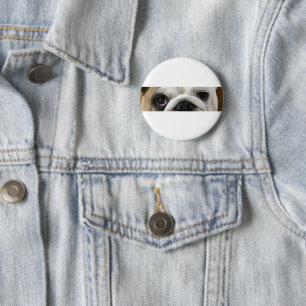 Bulldogg-Augen Button