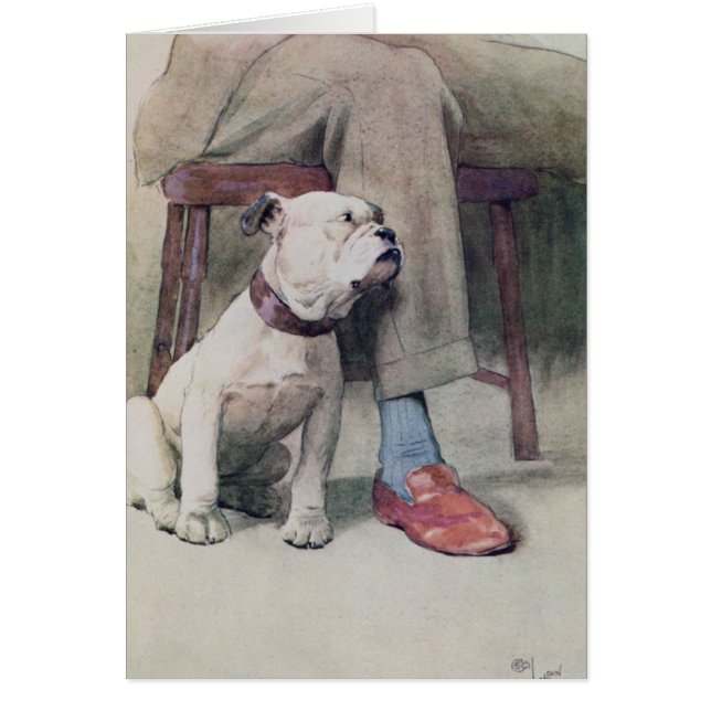 Bulldogge (Vorne)