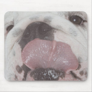 Bulldogge 2 mousepad