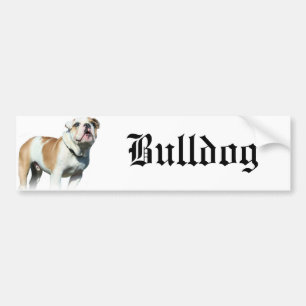 Bulldogge Autoaufkleber