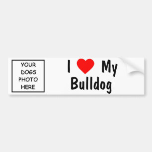 Bulldogge Autoaufkleber