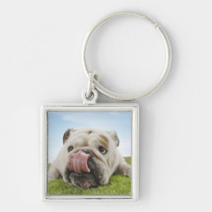 Bulldogge, die auf dem Gras leckt Lippen liegt Schlüsselanhänger