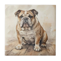 Bulldogge