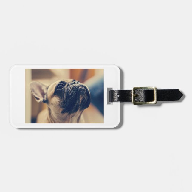 Bulldogge Gepäckanhänger (Vorderseite horizontal)