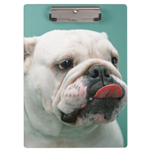 Bulldogge Klemmbrett