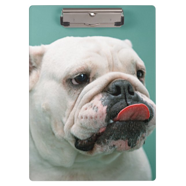 Bulldogge Klemmbrett (Vorderseite)