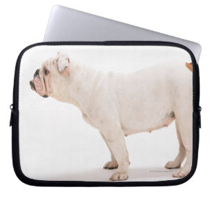 Bulldogge Laptopschutzhülle