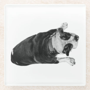 Bulldogge mit fröhlichem Ausdruck Glasuntersetzer