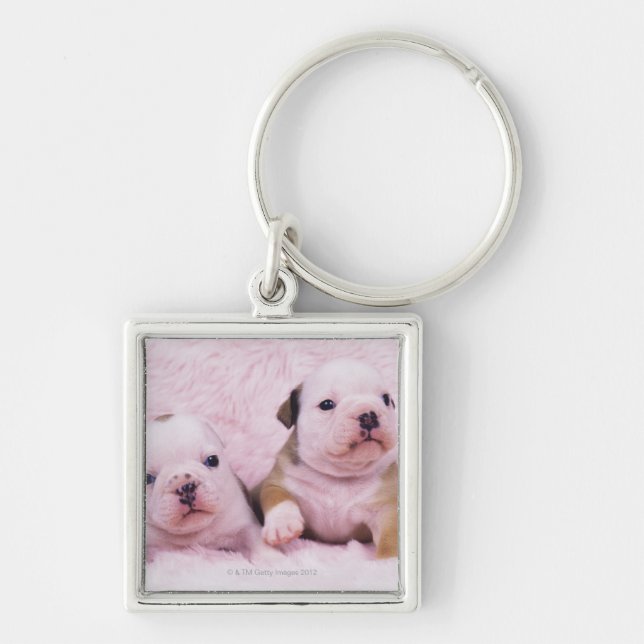 Bulldogge; nannte häufig die englische Bulldogge. Schlüsselanhänger (Vorne)
