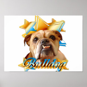 Bulldogge Poster