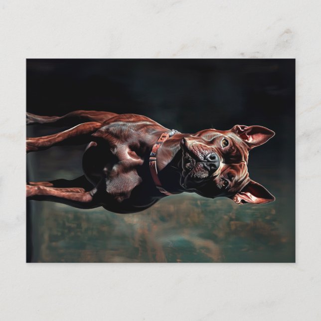 Bulldogge Postkarte (Vorderseite)