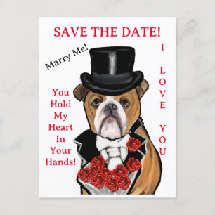 Bulldogge postkarte