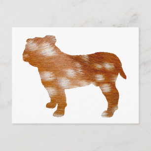 Bulldogge Postkarte