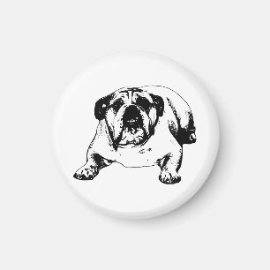 Bulldogge ruhig für Wintertage Magnet