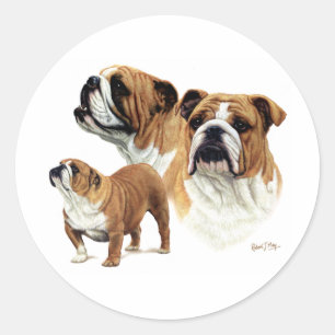 Bulldogge Runder Aufkleber