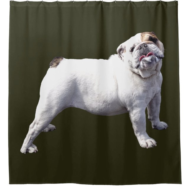 Bulldogge steht stolz duschvorhang (Vorderseite)