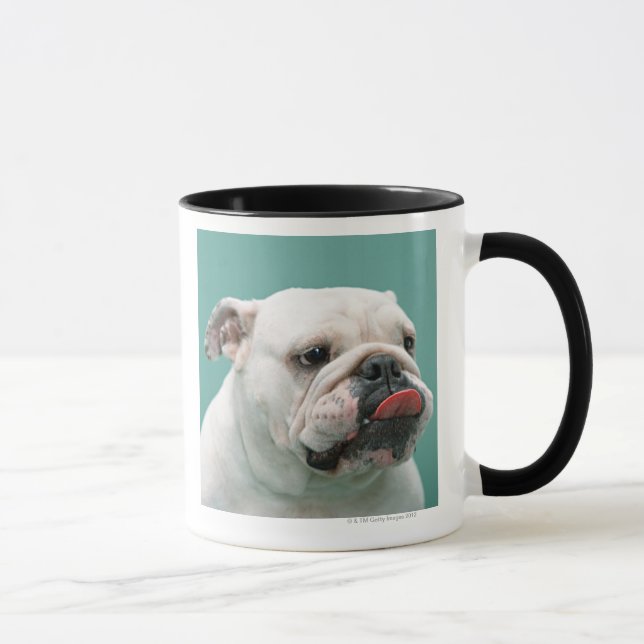 Bulldogge Tasse (Rechts)