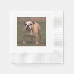 Bulldogge volles 2.png serviette