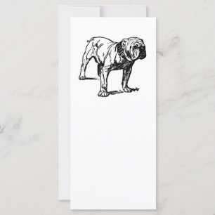 Bulldogge zeichnend