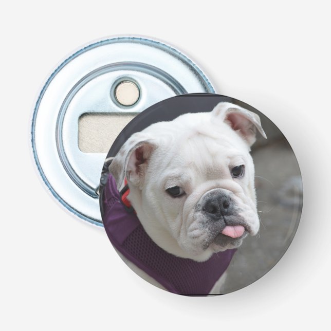 Bulldoggen-Hänselei Flaschenöffner (Vorderseite)