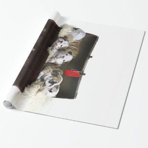 Bulldoggen Welpen im Koffer Niedlicher Bulldoggen Geschenkpapier