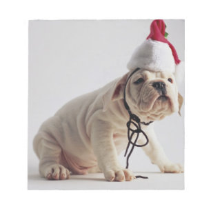 Bulldoggen-Welpen-tragende Weihnachtsmannmütze Notizblock