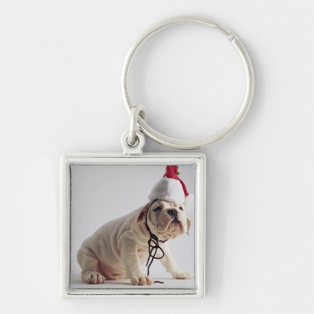 Bulldoggen-Welpen-tragende Weihnachtsmannmütze Schlüsselanhänger (Vorne)