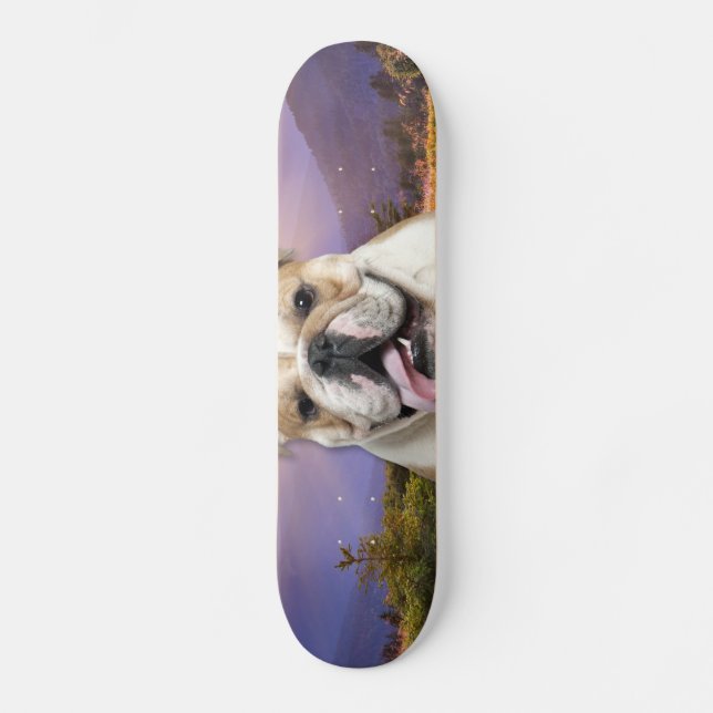 Bulldoggen-Wiese Skateboard (Vorderseite)