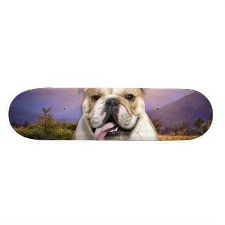 Bulldoggen-Wiese Skateboard