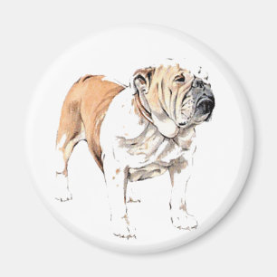 Bulldoggenmagnet Magnet