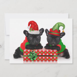 Bulldoggenwelpe mit Weihnachtsgeschenk Feiertagskarte