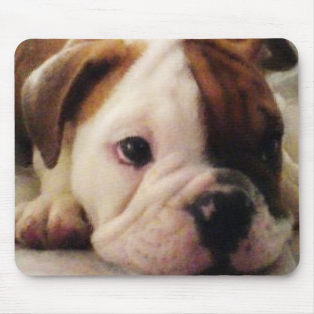 Bulldoggenwelpe Mousepad (Vorne)