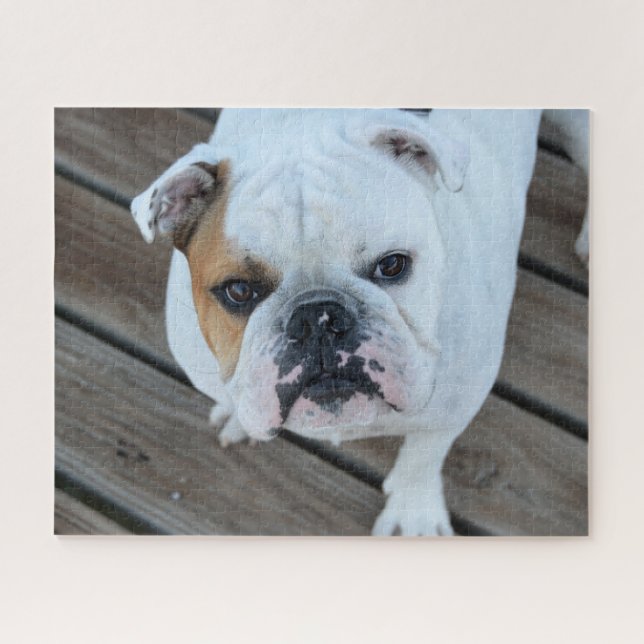 Bulldoggesicht (Horizontal)