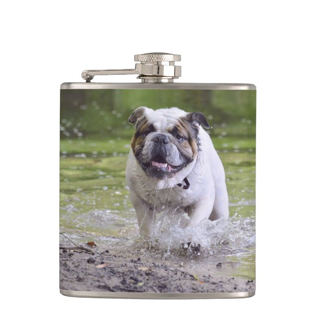 Bulldogin Flachmann (Vorderseite)