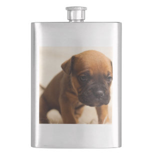 Bulldogin Flachmann
