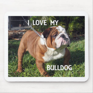 Bulldogin Rot-Weiß-Liebe w pic Mousepad