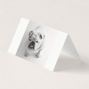 Bulldogin Visitenkarten