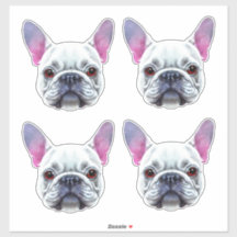 Bulldogs