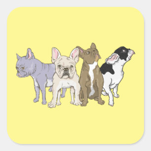 Bulldogs Quadratischer Aufkleber