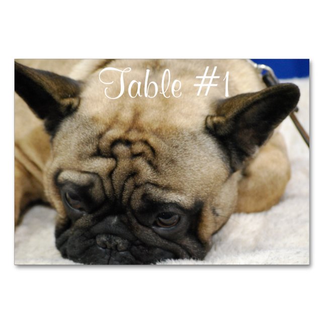 Bulldogs Tischnummer (Vorderseite)