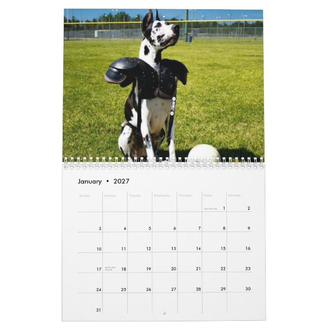 Bulldozer der Therapie-Hundekalender Kalender (Jan 2027)