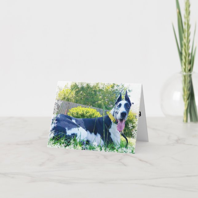 Bulldozer die Therapie-Hundegruß-Karte Karte (Vorderseite)