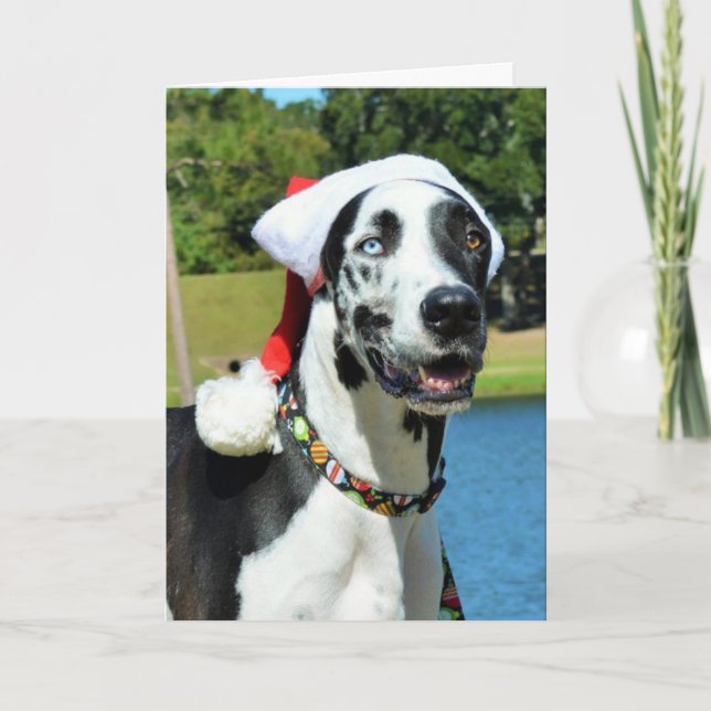 Bulldozer-Weihnachtskarten Feiertagskarte (Vorderseite)